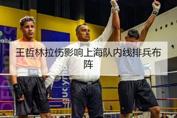 王哲林拉伤影响上海队内线排兵布阵